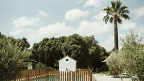 A fenced pool area with a small white building, surrounded by trees and a palm tree. - Centuries-old olive finca with pool in Cádiz (Barbate)