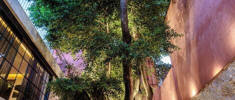 A tree in a courtyard with a bench and potted plants.