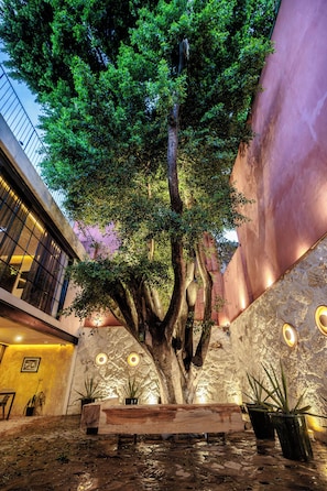 Un árbol en un patio con un banco y plantas en macetas.