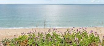 GuestReady - Beachfront Studio
