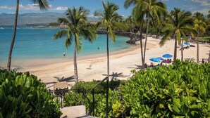 Ein Strand mit Palmen, klarem blauen Wasser und sandigem Ufer.