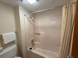 Combined shower/tub, free toiletries, hair dryer, towels