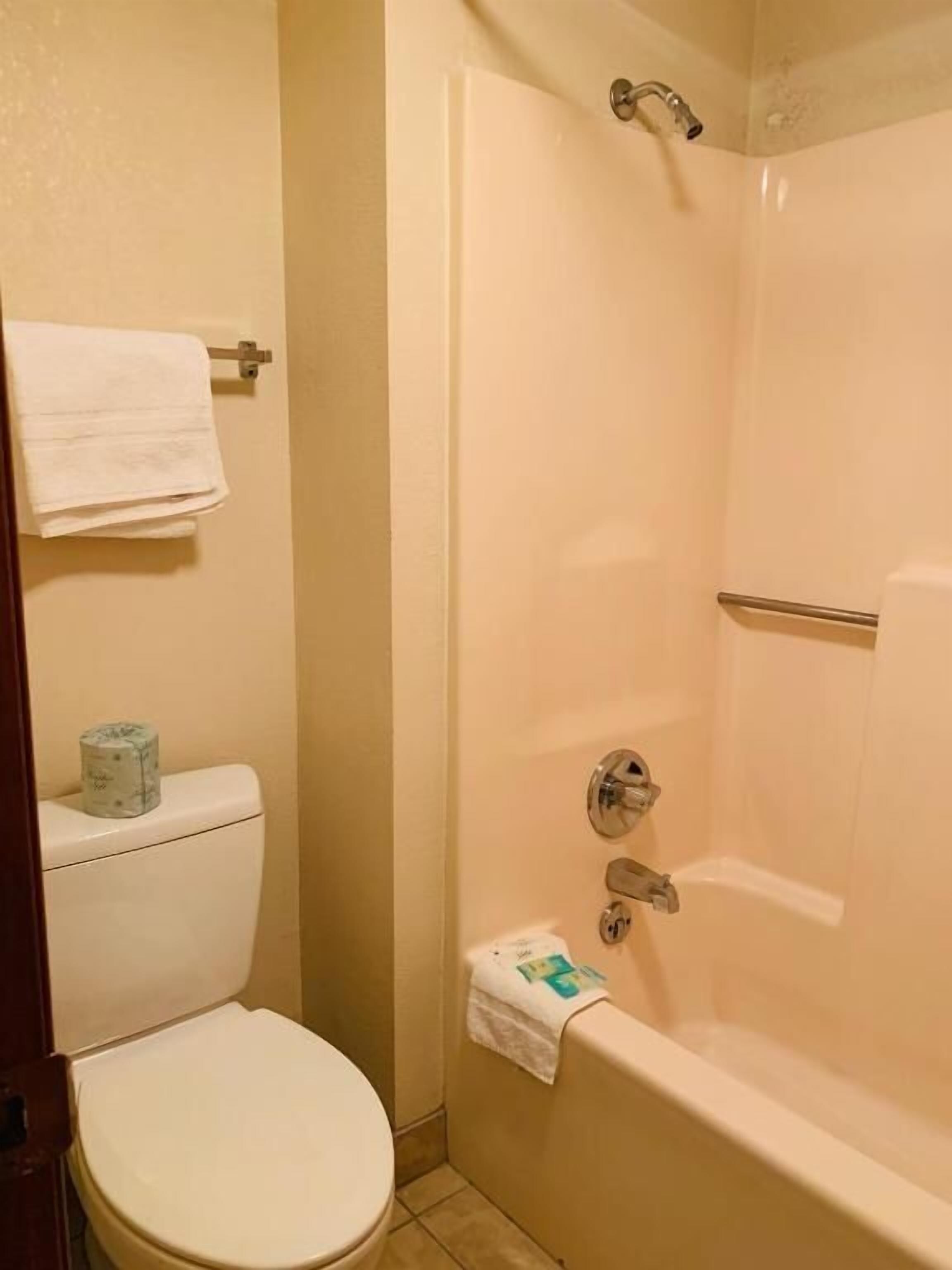 Ensemble douche/baignoire, articles de toilette gratuits, sèche-cheveux