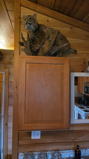 Interior - Sportsman's Cabin with Lakeview's and Lake Access. (Colchester)
