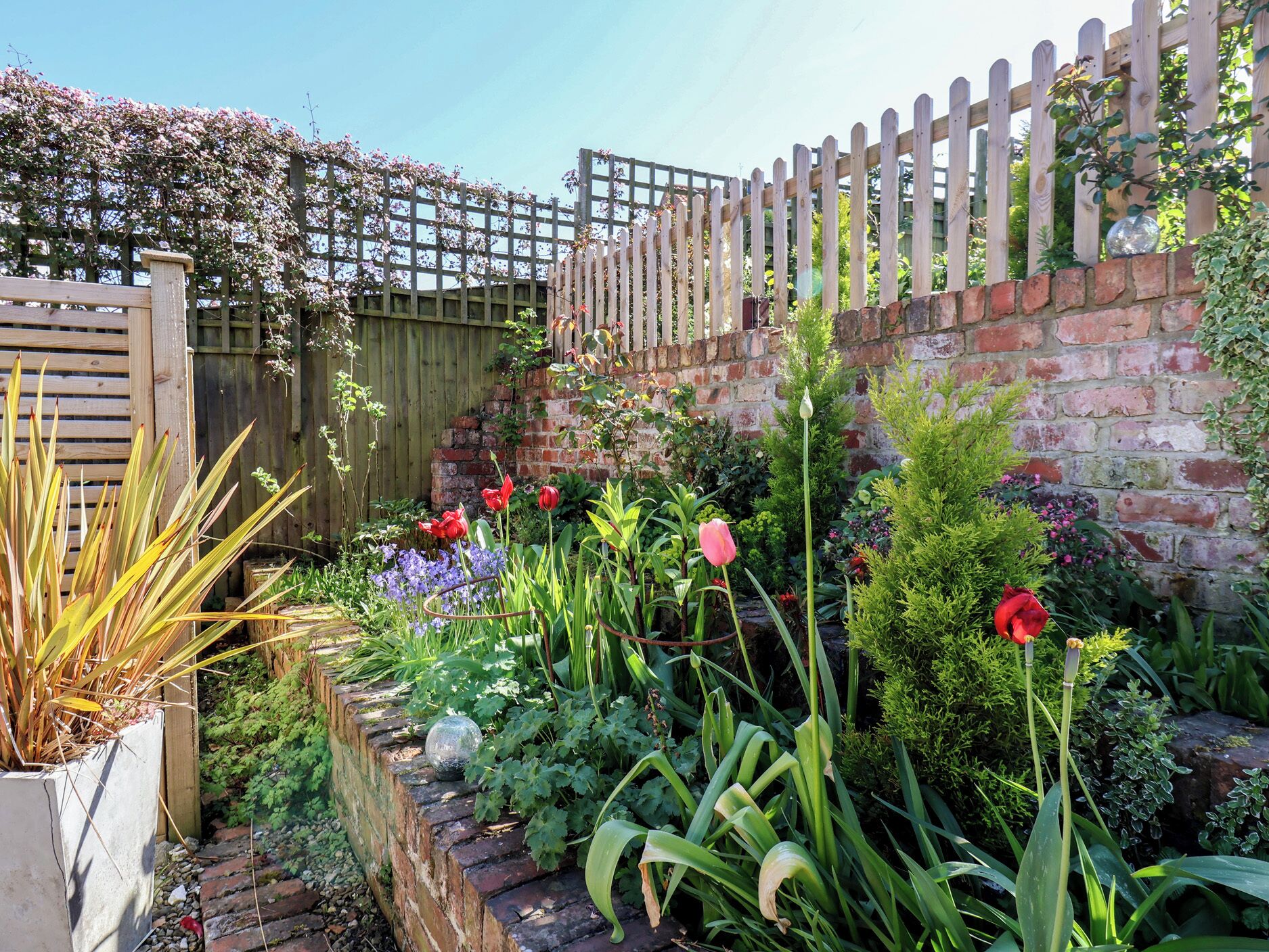 Ein Garten mit Backsteinmauer, Holzzaun und verschiedenen Pflanzen, darunter Tulpen.