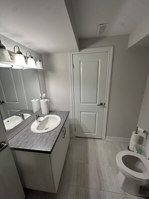 Secadora de cabello, toallas, jabón, papel de baño 