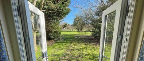 A view through a glass door leading to a grassy yard with trees and a fence.