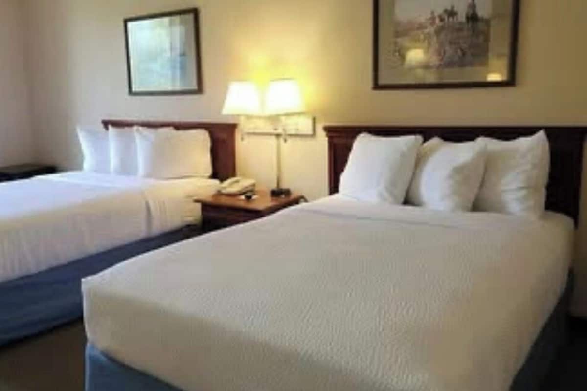 Quarto de hotel com duas camas, uma mesa de cabeceira com abajur e um quadro na parede.