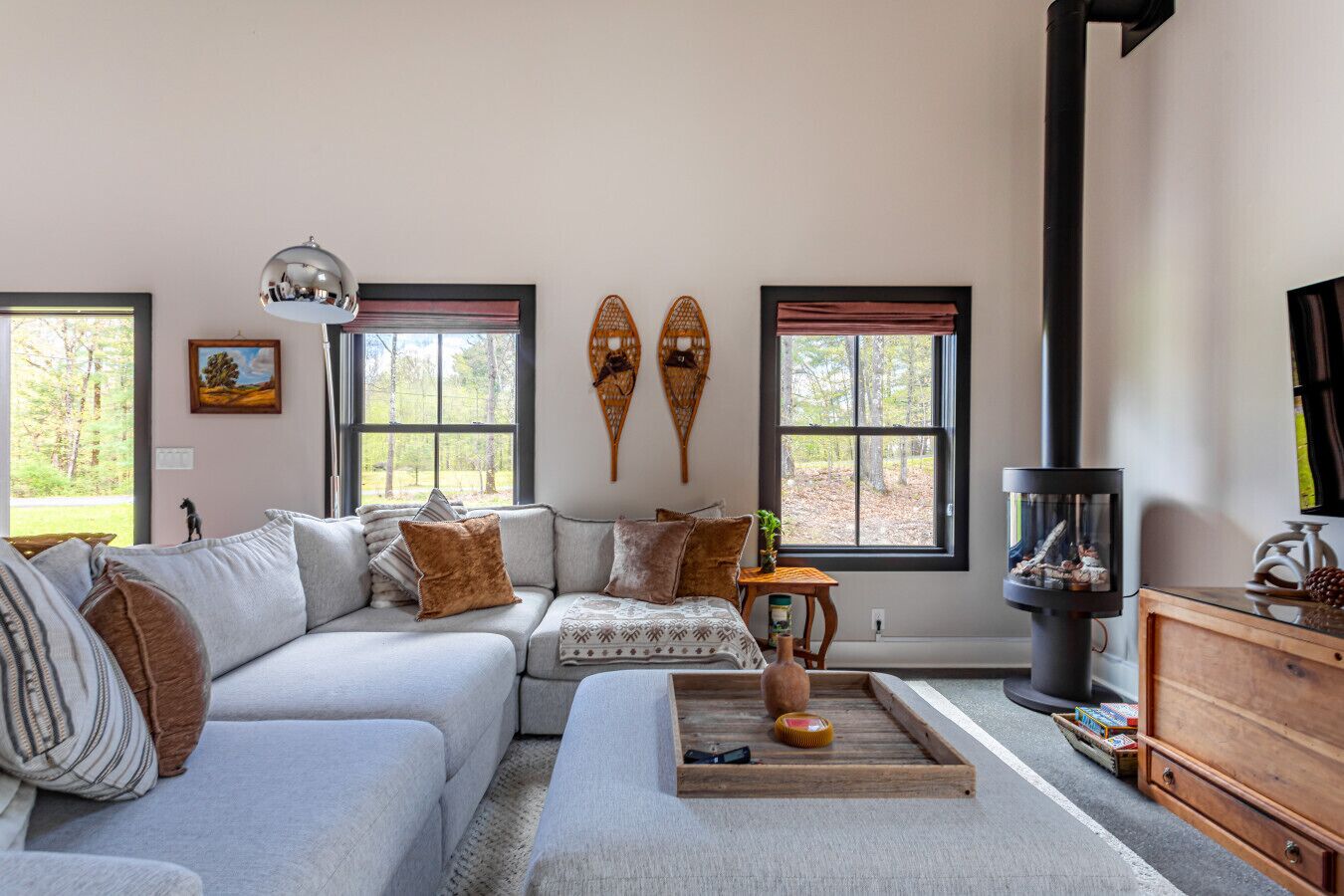 TV, fireplace, books