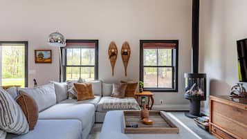 TV, fireplace, books