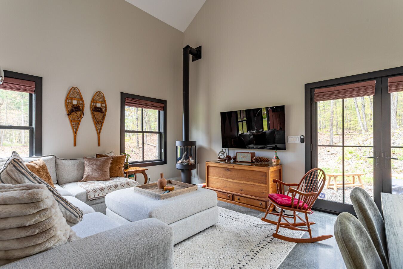 TV, fireplace, books