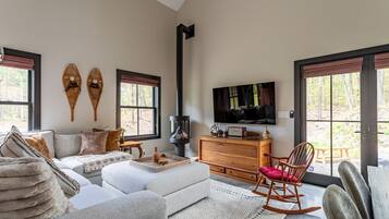 TV, fireplace, books