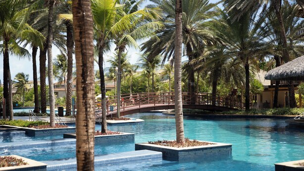 Zona de piscina con palmeras, un puente y una estructura con techo de paja.