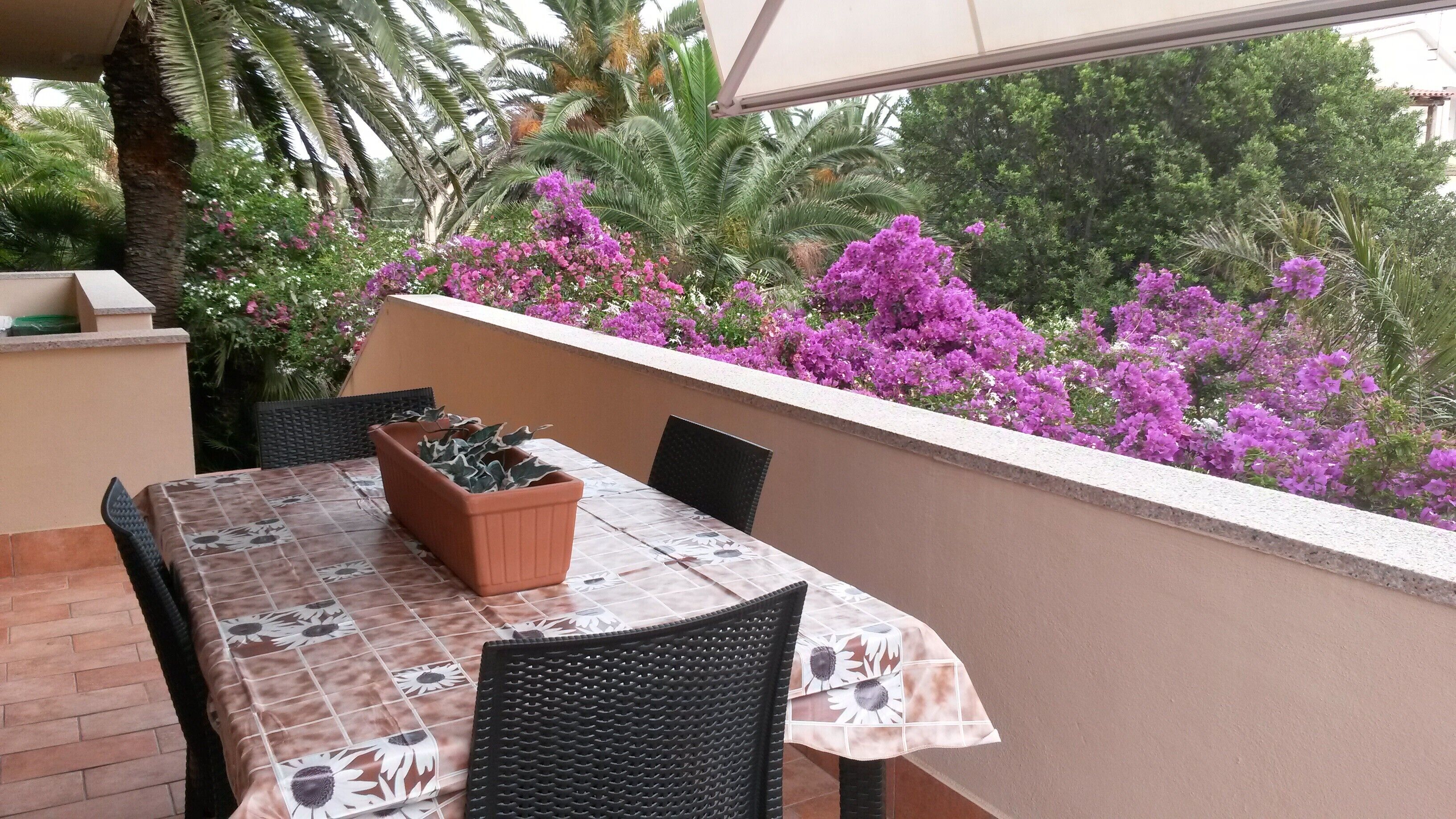 Restauration en plein air