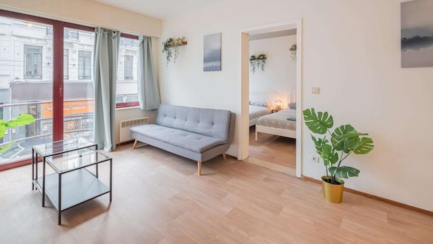 A modern living room with a grey sofa, a glass coffee table, and a potted plant. - Amazing Apartment in Antwerp (Antwerp)