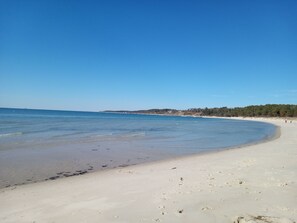 Beach - House in Cape Charles w/ Hot Tub & EV Charger - near Kiptopeke Park & Beaches! (Cape Charles)