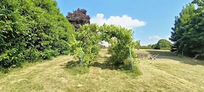 A pathway leading through a garden with a central archway surrounded by dense foliage.