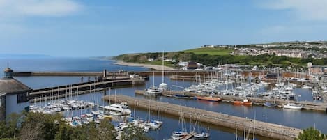 Marina