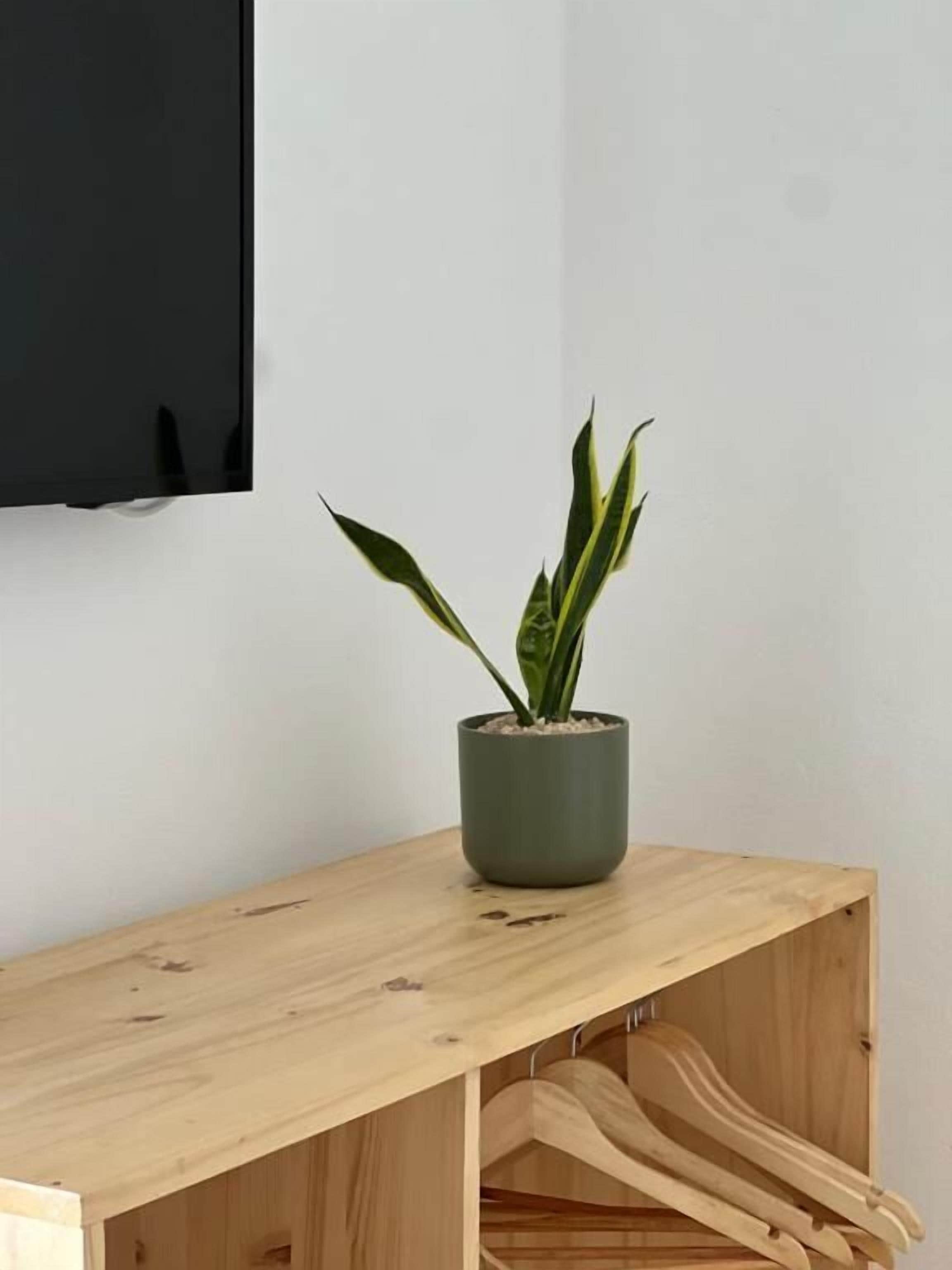 Standard Double Room, Patio, Garden View | Interior