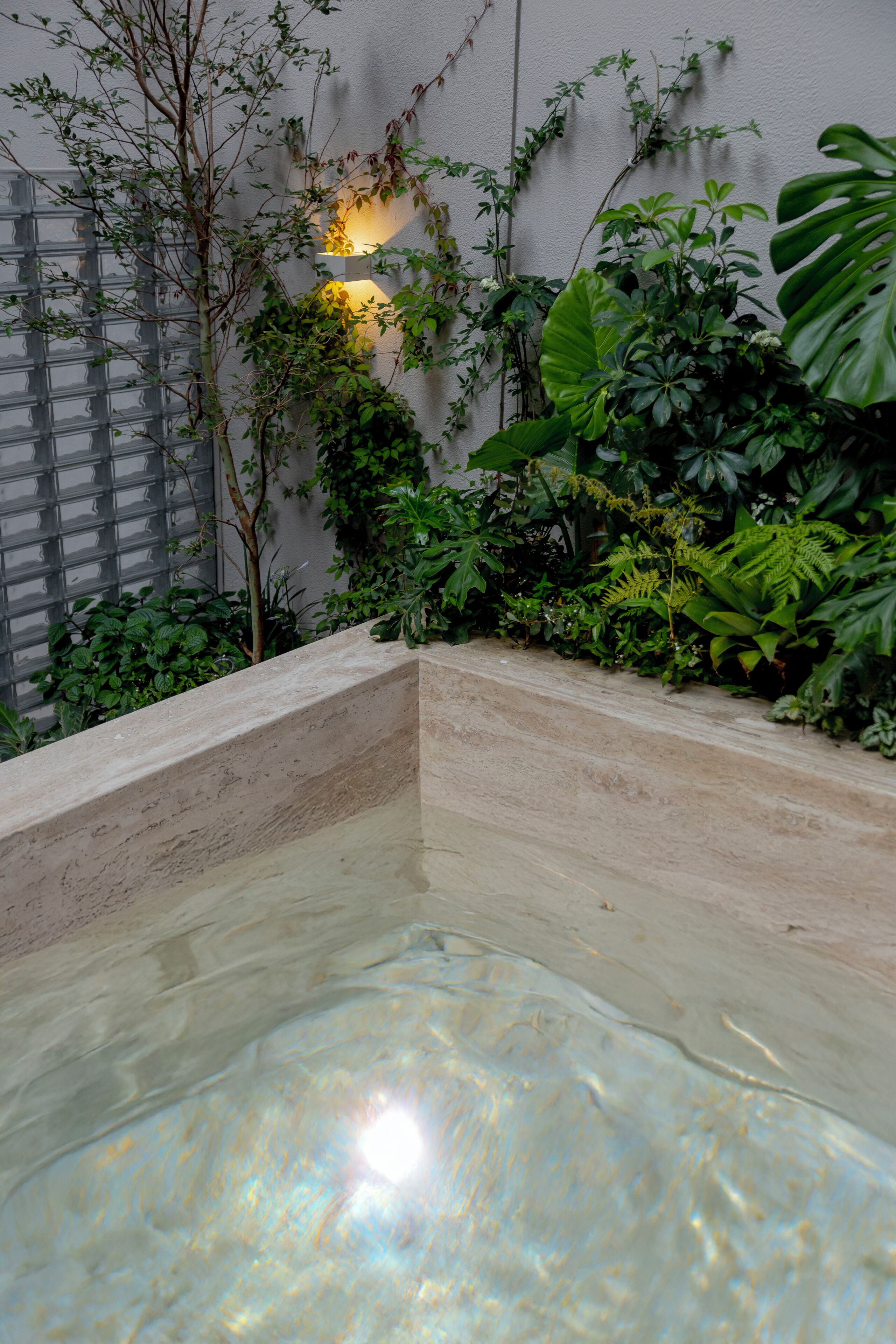 Une piscine aux eaux cristallines, entourée d’une végétation luxuriante et bordée d’un mur à la texture intéressante.