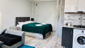A compact room with a bed, a small sofa, a washing machine, and a kitchenette.
