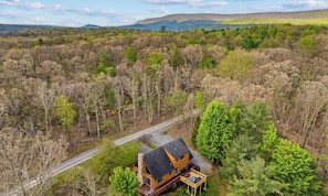 A large house with a spacious deck, surrounded by dense forest and a clear sky.