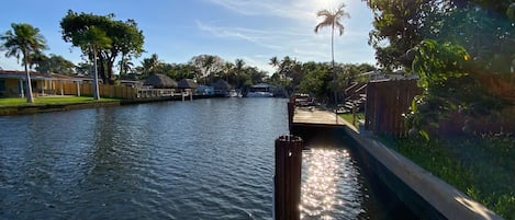 A wooden dock extending into calm water, surrounded by greenery and a clear sky.