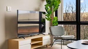Een moderne woonkamer met een flatscreen televisie op een houten standaard, een grijze fauteuil en een grote groene plant.