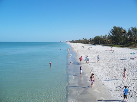 A beach with clear water, people walking, and palm trees.