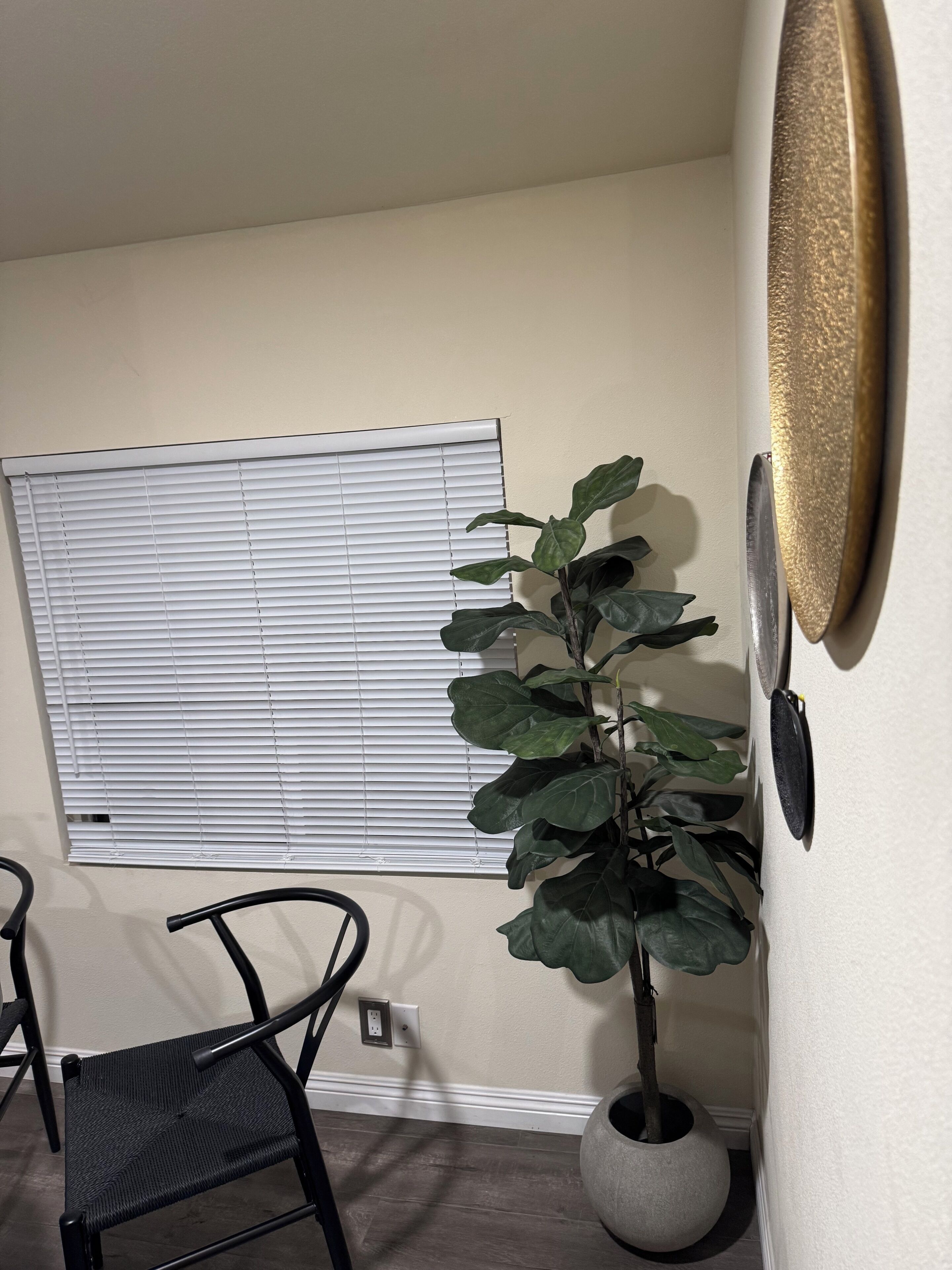 A room with a window, a potted plant, a chair, and a wall-mounted object.