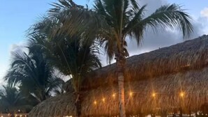 Ein Restaurant direkt am Strand mit Reetdach, Außenbereich und Palmen.