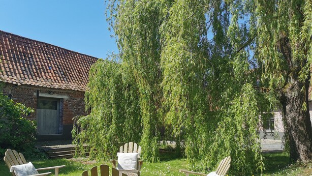 A garden with wooden chairs and a table, a brick building with a tiled roof, and a large weeping willow tree. - La Cense du pont. Gîte in square farmhouse. Lille and Tournai campaign. (Bachy)