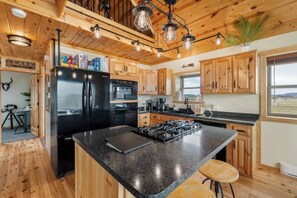 Fridge, microwave, oven, stovetop - The Angostura Cabin - Lake View (Hot Springs)