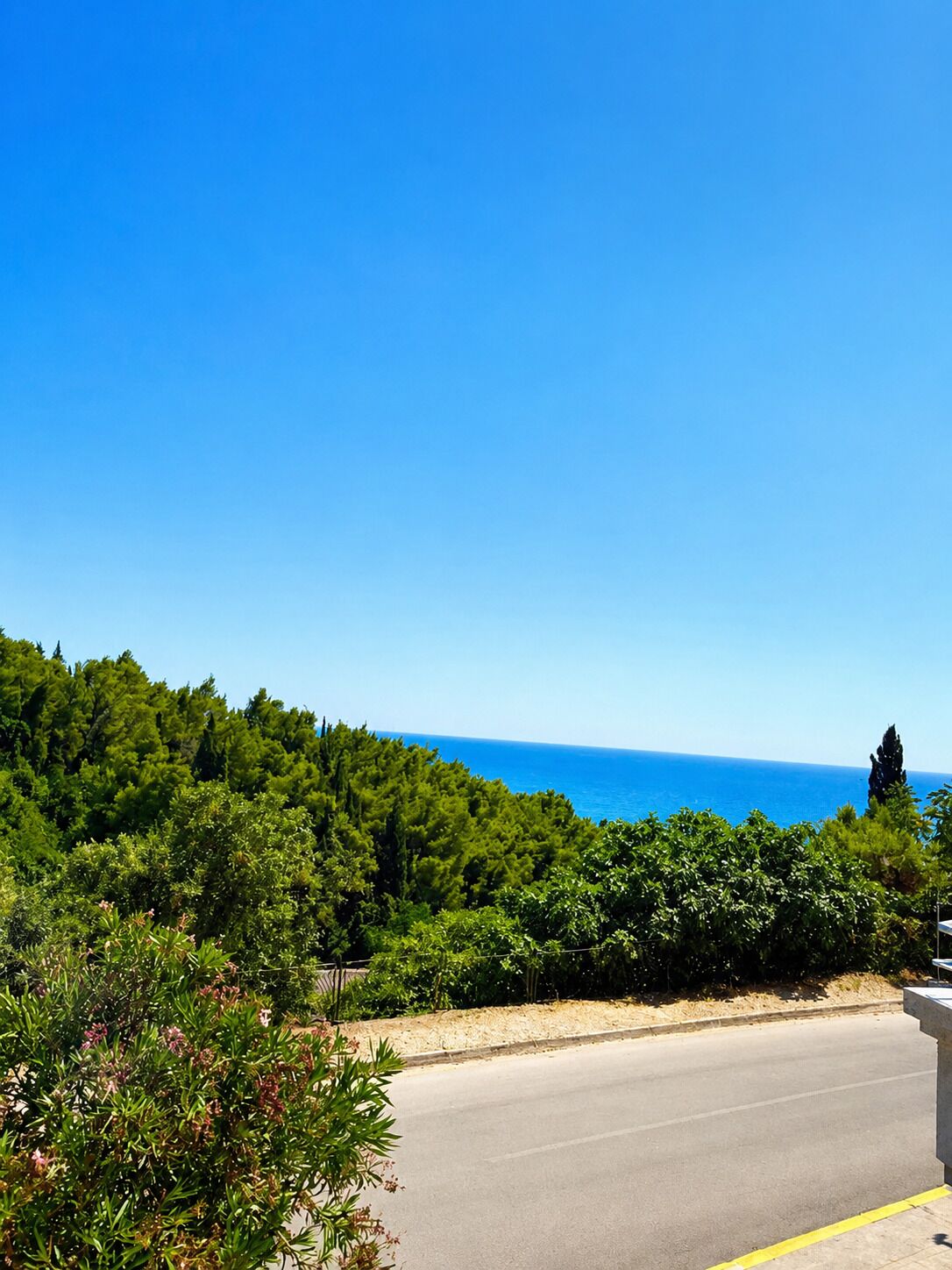 A coastal road with a clear view of the sea, surrounded by dense green vegetation.