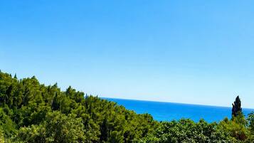 A coastal road with a clear view of the sea, surrounded by dense green vegetation.