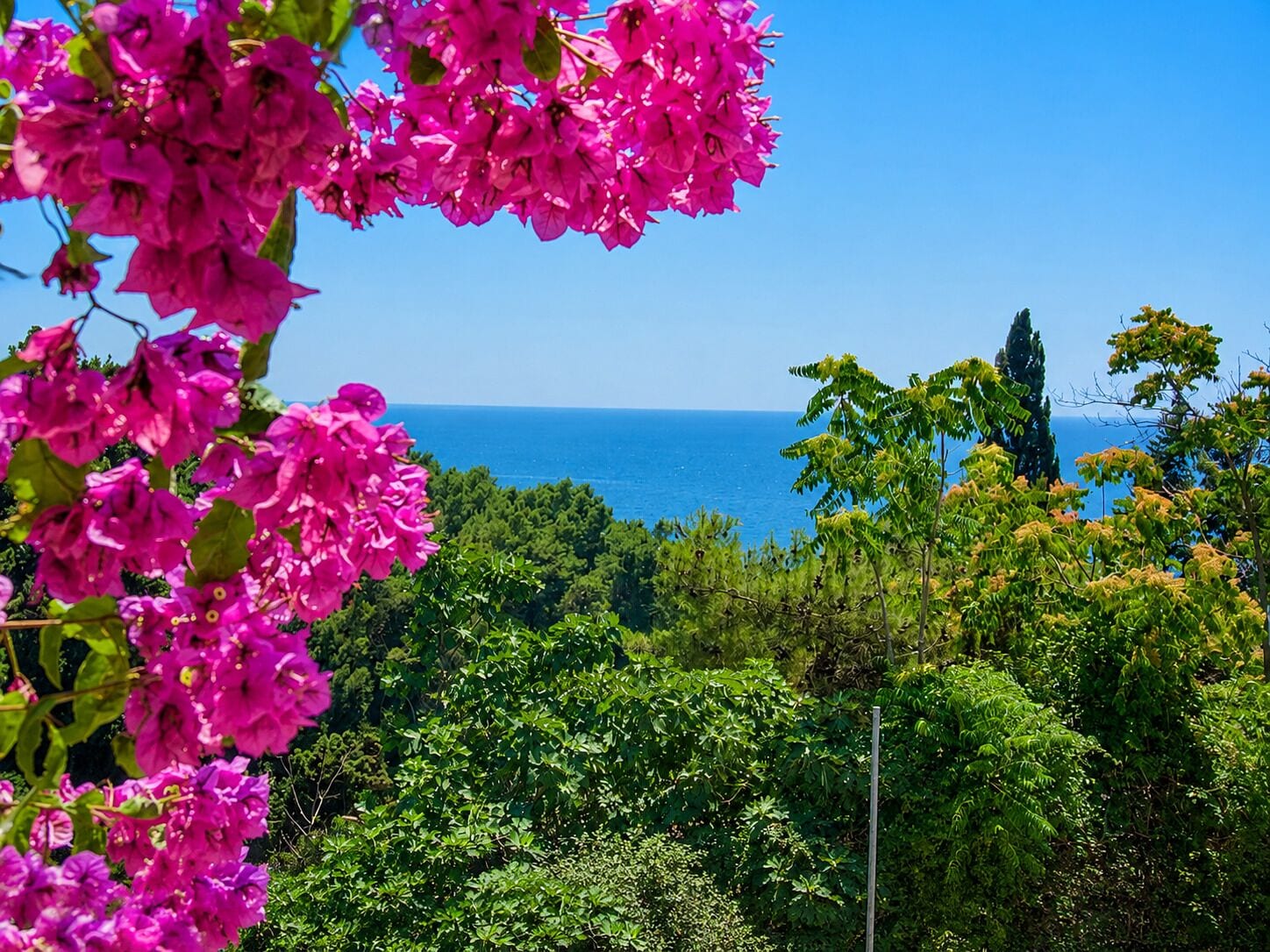 A coastal landscape with lush greenery and a clear view of the sea.