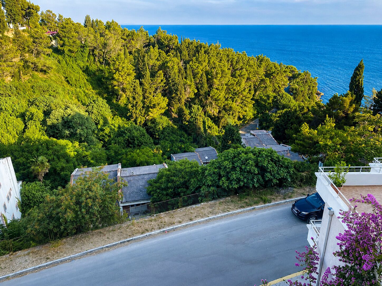 A coastal road with houses, dense greenery, and a view of the sea.