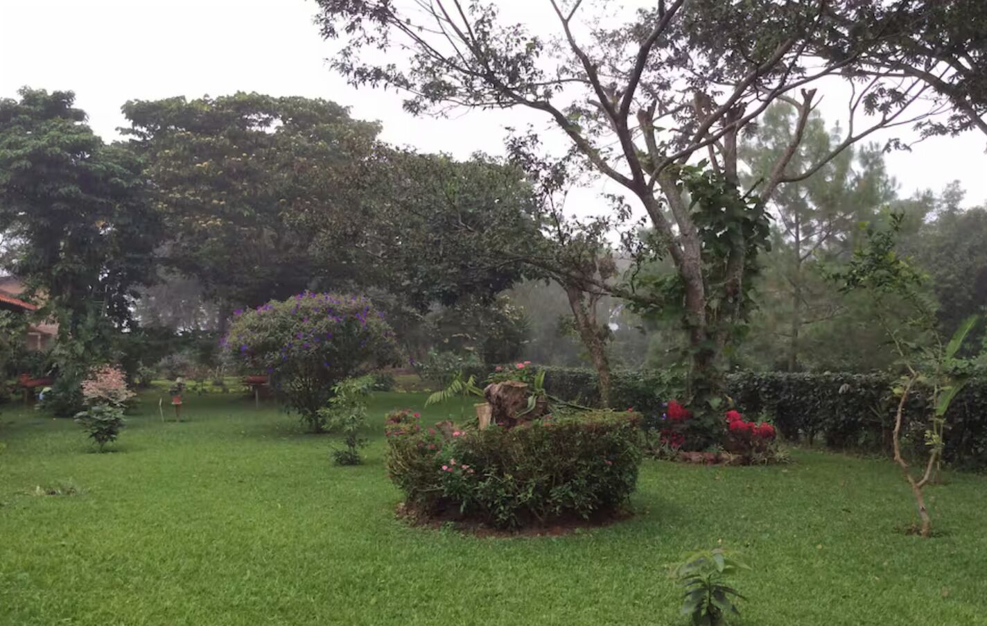 Un jardin bien entretenu, agrémenté de diverses plantes et arbres.