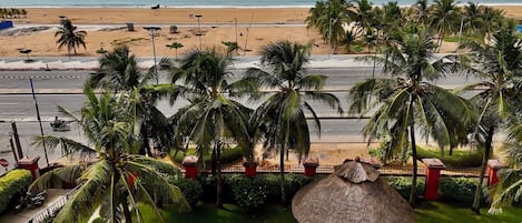 Blick auf einen Strand mit Palmen, einer Struktur mit Reetdach und einer Straße im Vordergrund.