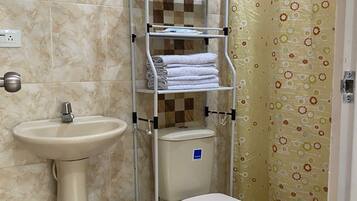 Shower, towels, soap, toilet paper