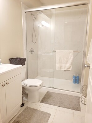 Shower, hair dryer, towels, soap