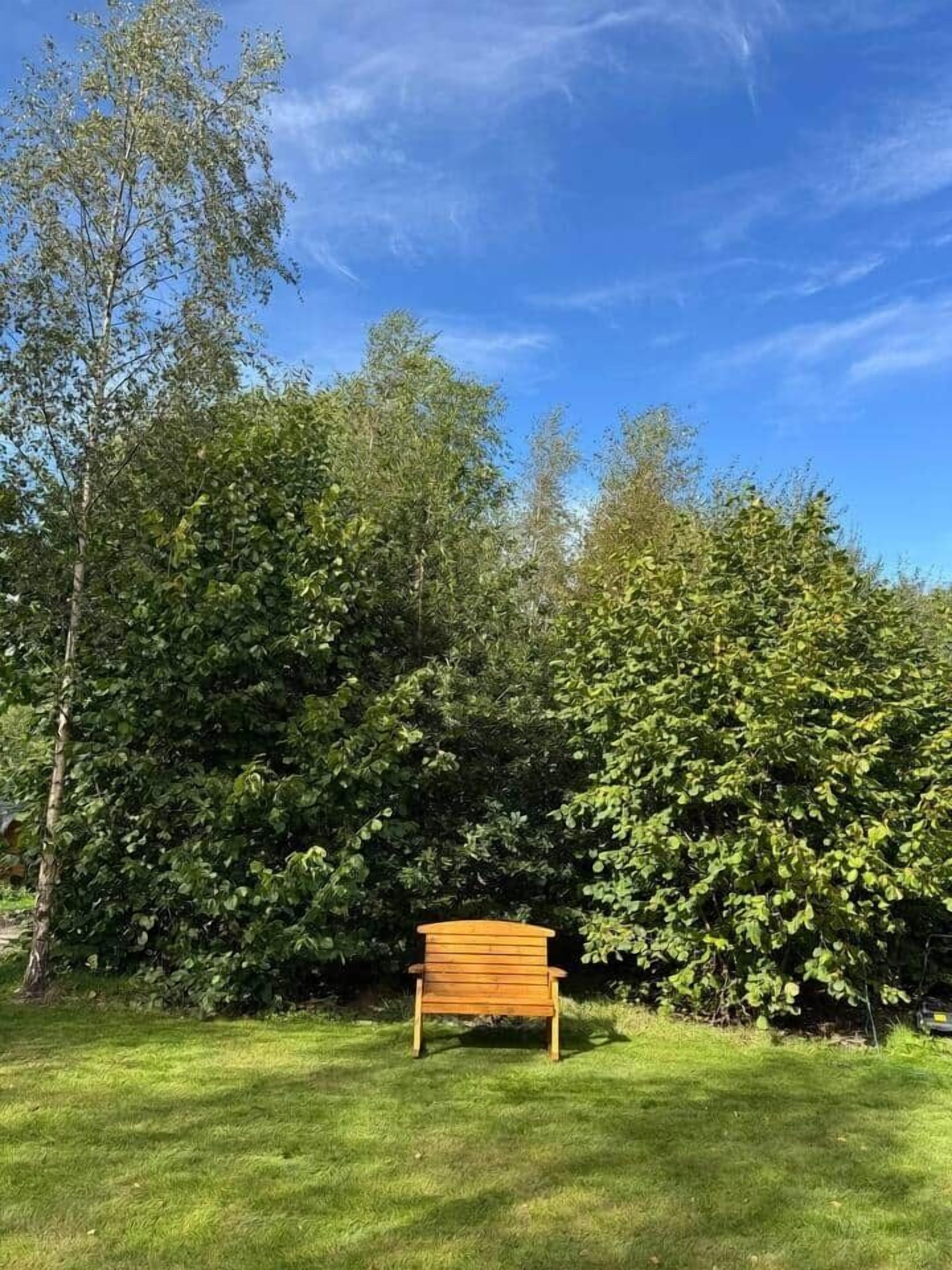 A wooden bench in a grassy area with dense foliage and trees in the background.