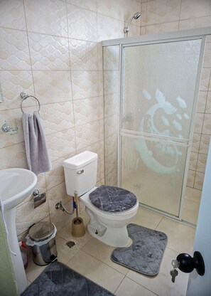 Serviettes fournies, savon, papier toilette