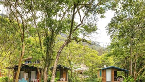 Un hébergement isolé, aménagé comme une cabane dans les arbres et doté d’un toit de chaume, entouré d’une végétation luxuriante et avec des collines en arrière-plan.