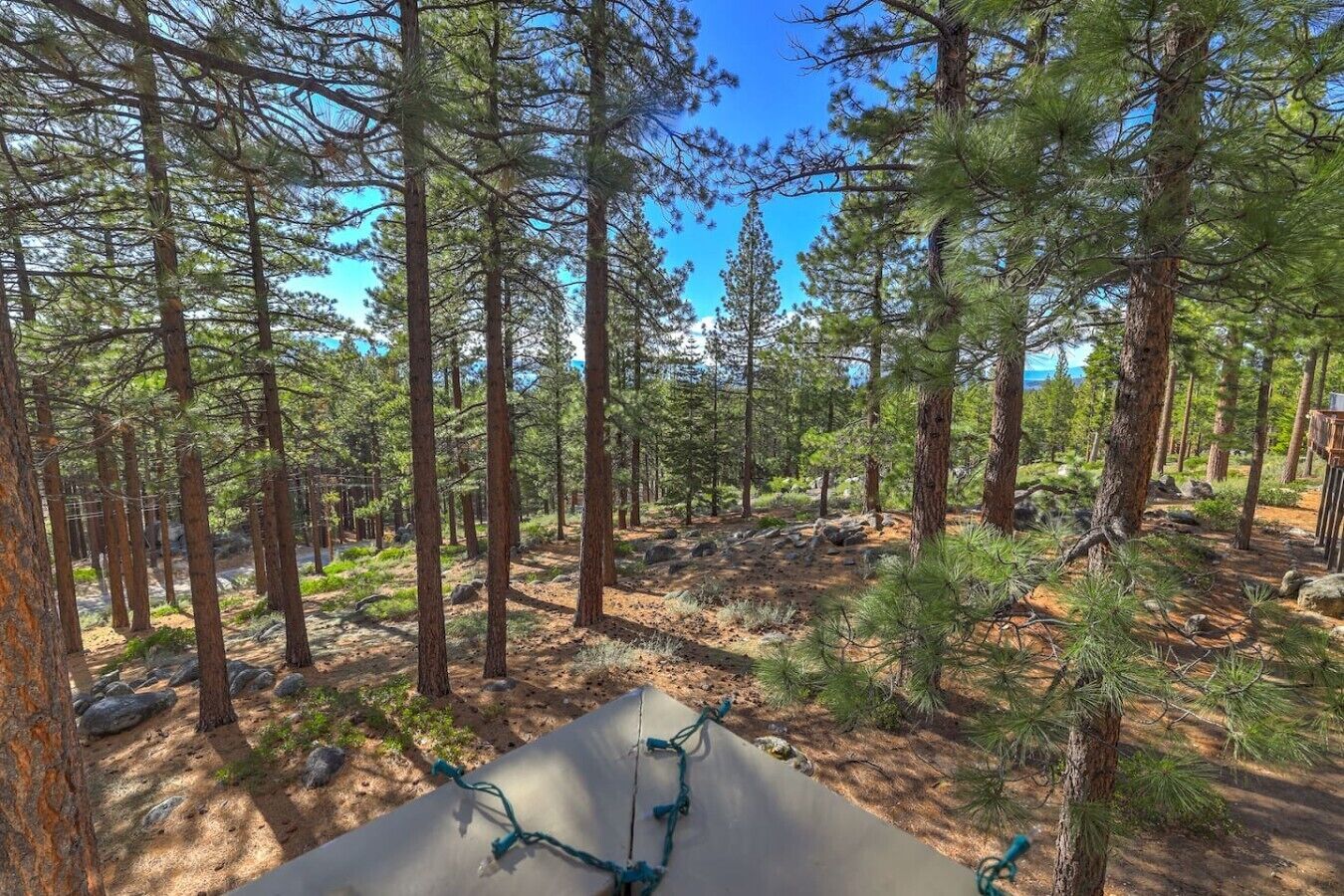 Ein bewaldetes Gebiet mit Zelt und Seilen, das einen Campingplatz andeutet.