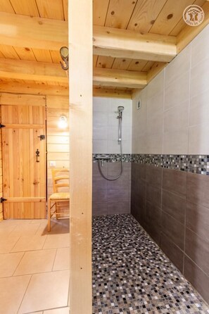 Shower, hair dryer, towels - La Grange Caroline - ENTREMONT LE VIEUX (ENTREMONT LE VIEUX)