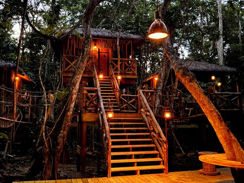 Lear's Oceanfront Jungle Treehouse
