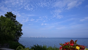 A coastal view with a city skyline in the distance, greenery, and a flower arrangement.