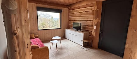 Televisio, kirjoja