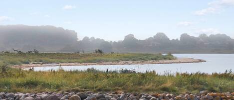 A calm lake with a rocky shoreline, surrounded by grassy areas and trees in the background.